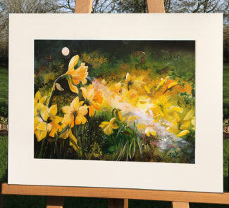 Limited Edition Prints of Pembrokeshire: 'March Moon Spells': Giclée print